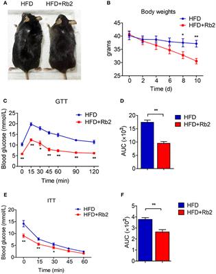 Ginsenoside Rb2 Alleviates Obesity by Activation of Brown Fat and Induction of Browning of White Fat